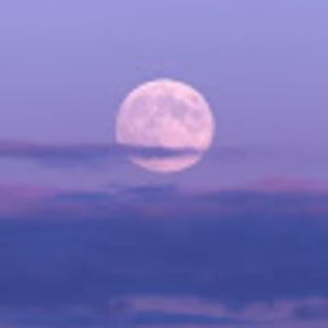 Meet your Posher, Mia